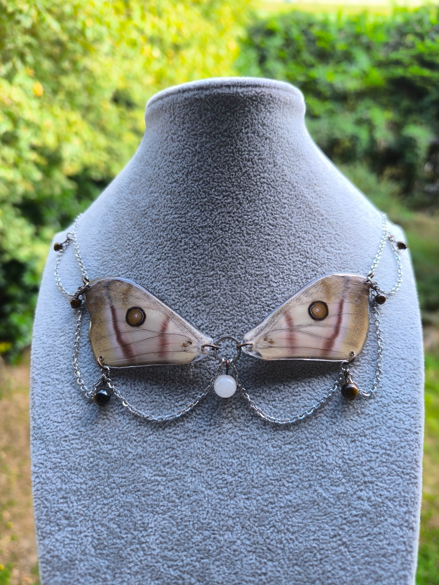 Doppelflügelkette