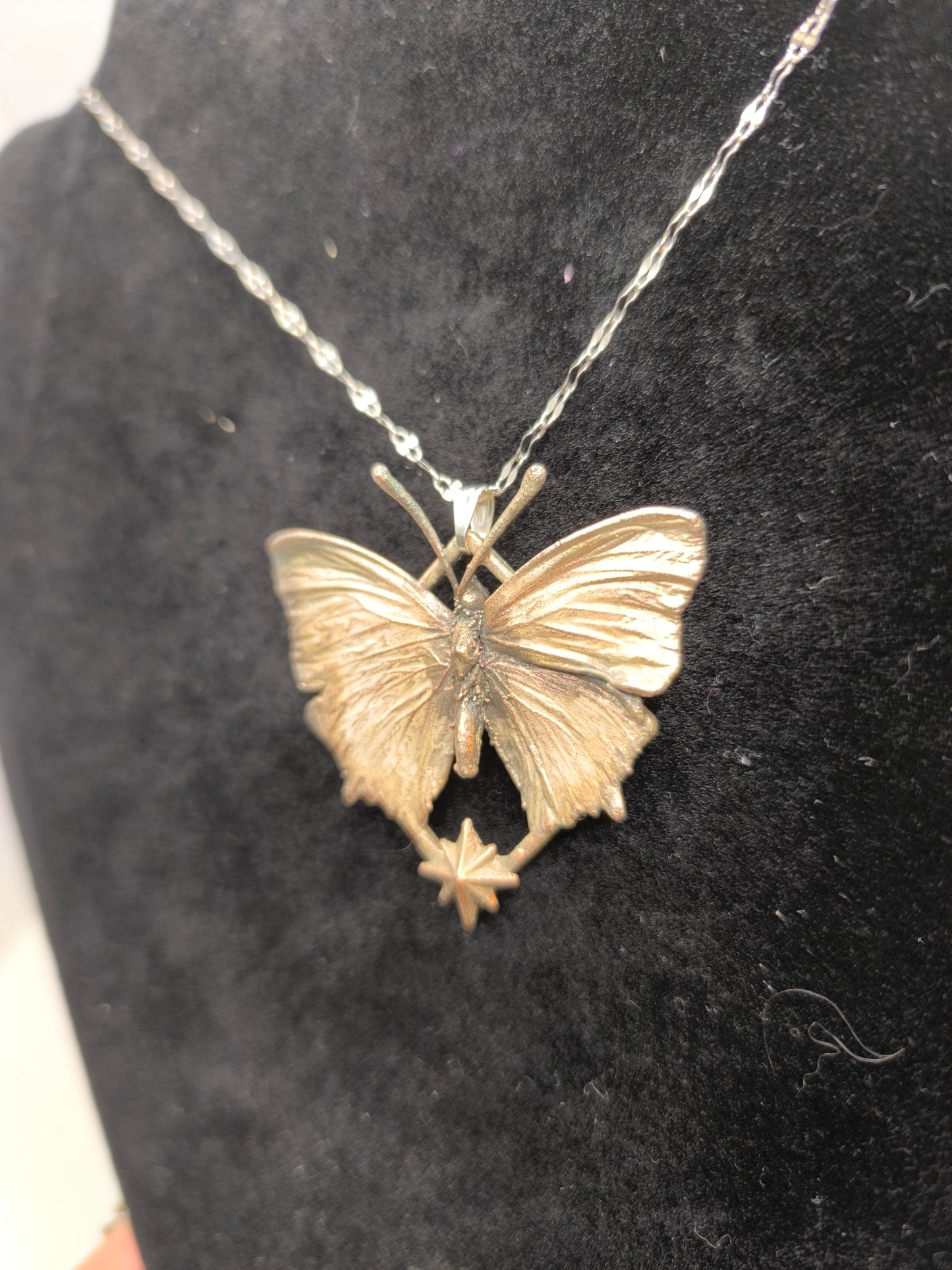 Sternenschmetterling