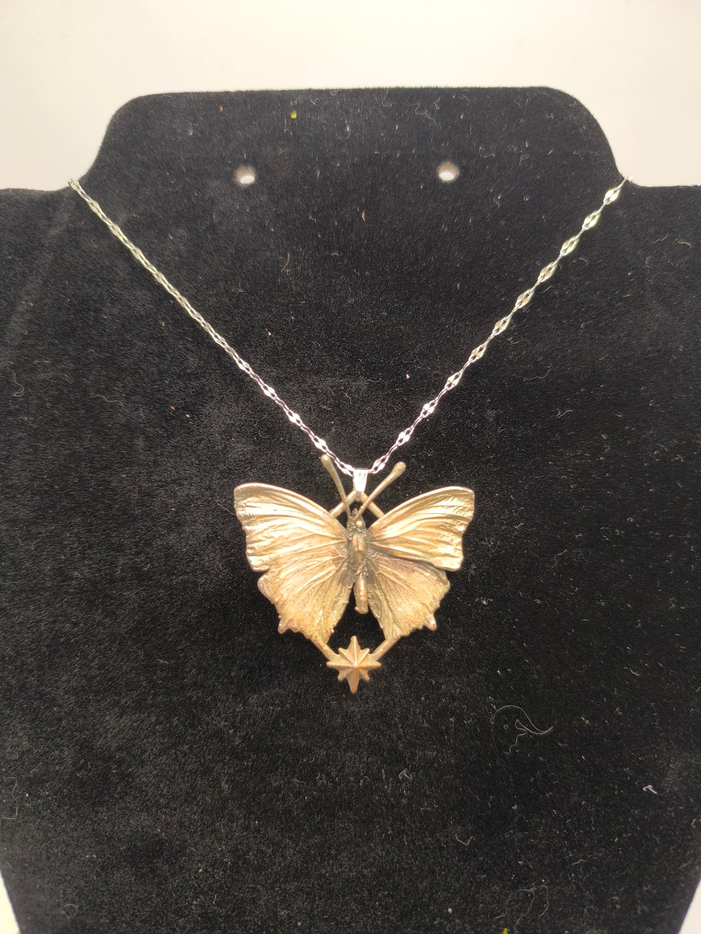 Sternenschmetterling