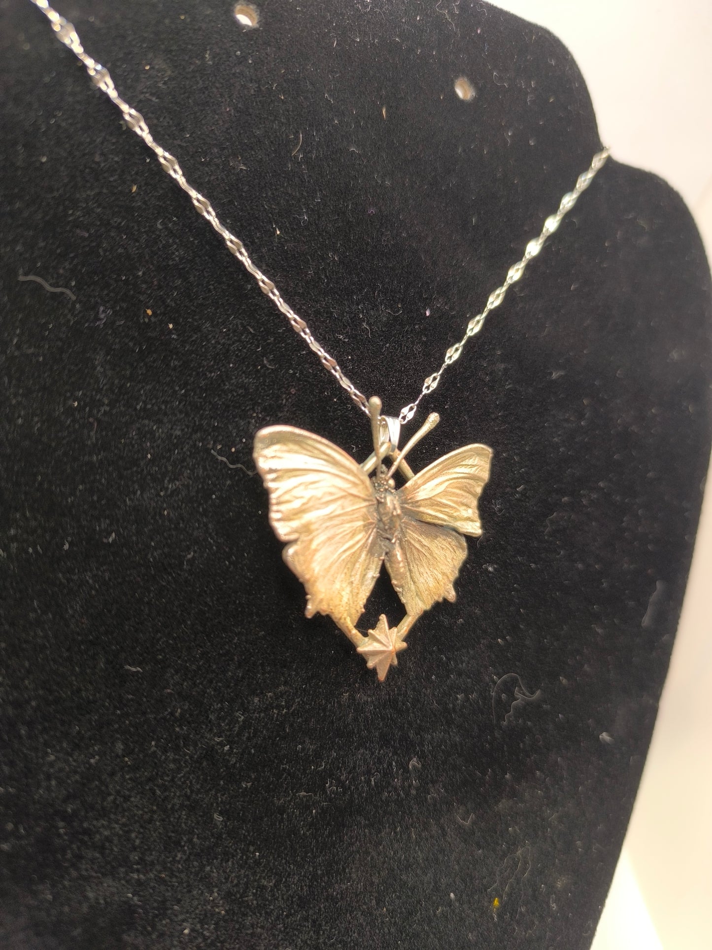 Sternenschmetterling