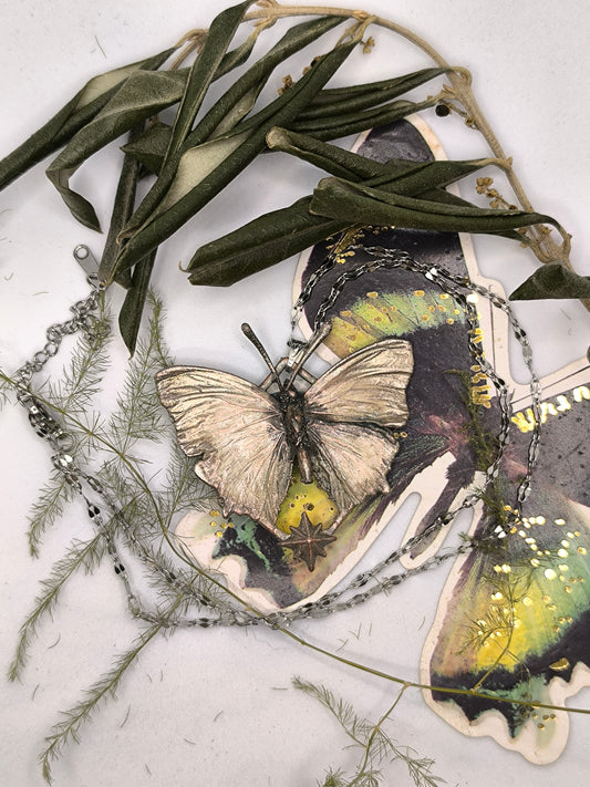 Sternenschmetterling